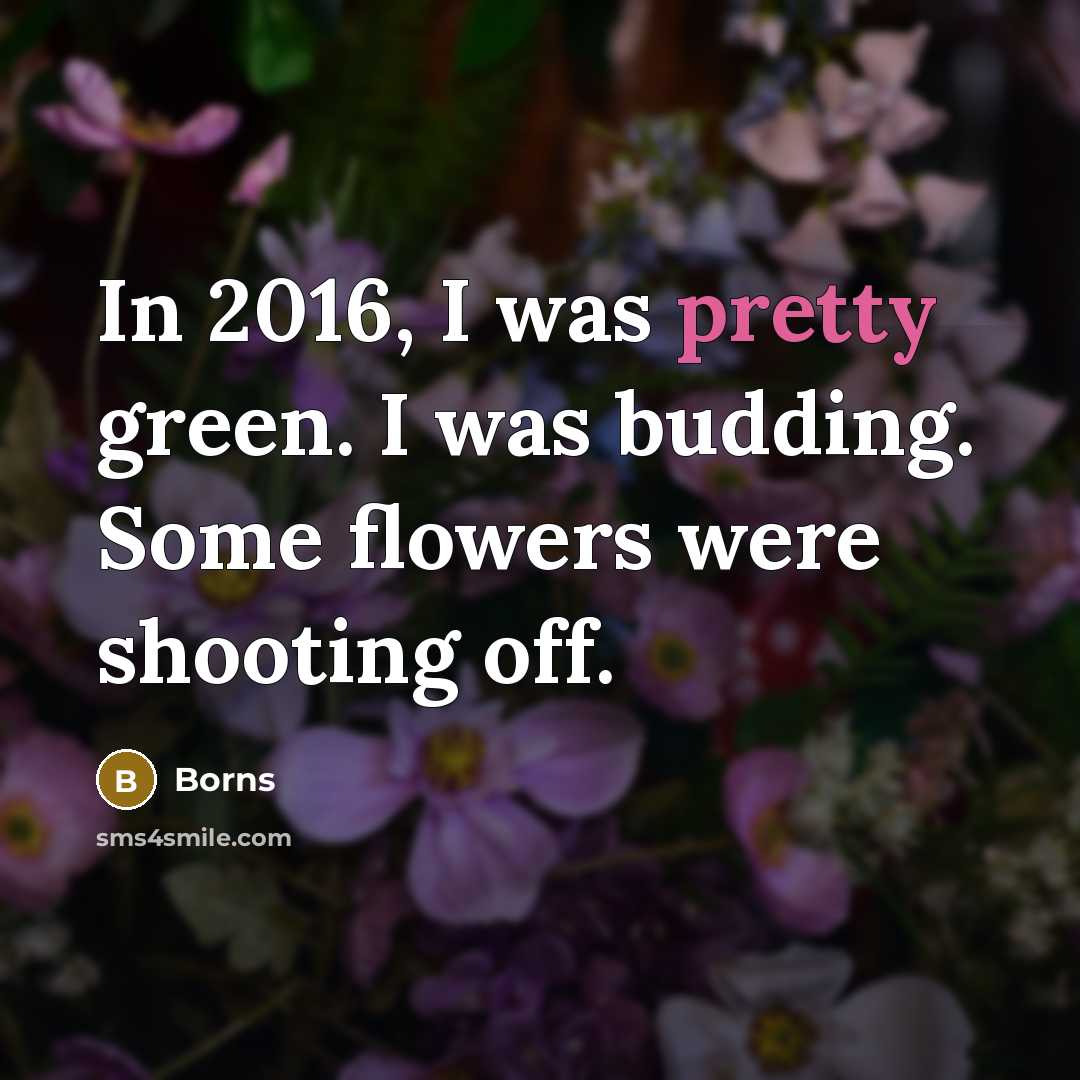 “In 2016, I was pretty green. I was budding. Some flowers were shooting off.” quote by Borns