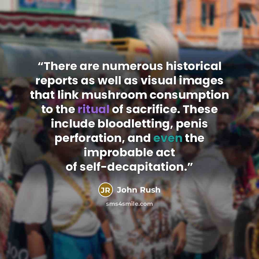“There are numerous historical reports as well as visual images that link mushroom consumption to the ritual of sacrifice. These include bloodletting, penis perforation, and even the improbable act of self-decapitation.” quote by John Rush