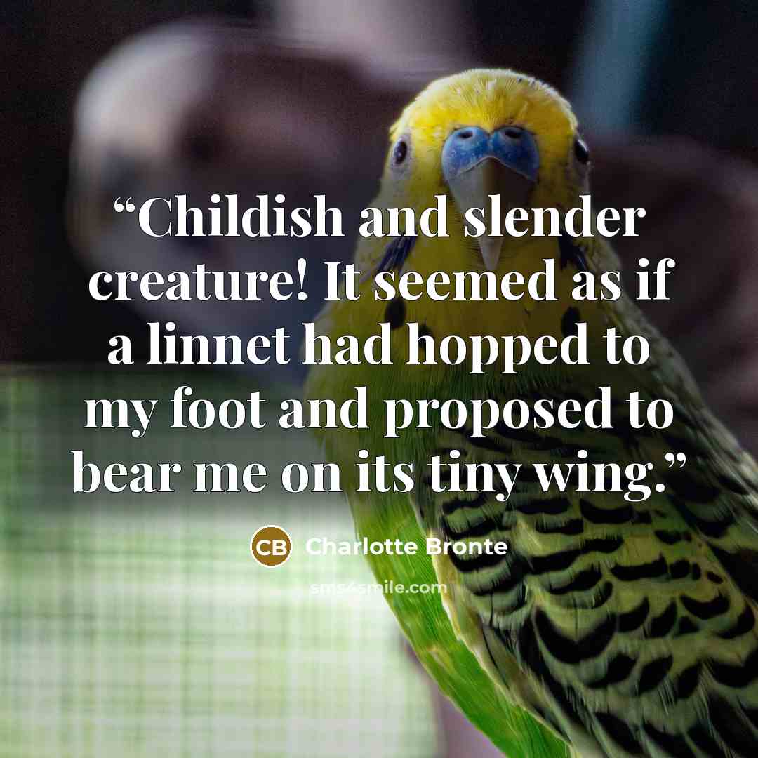 “Childish and slender creature! It seemed as if a linnet had hopped to my foot and proposed to bear me on its tiny wing.” quote by Charlotte Brontë
