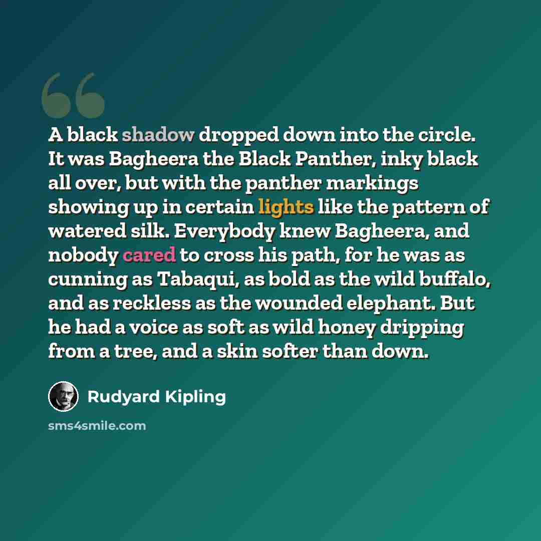 “A black shadow dropped down into the circle. It was Bagheera the Black Panther, inky black all over, but with the panther markings showing up in certain lights like the pattern of watered silk. Everybody knew Bagheera, and nobody cared to cross his path, for he was as cunning as Tabaqui, as bold…” quote by Rudyard Kipling