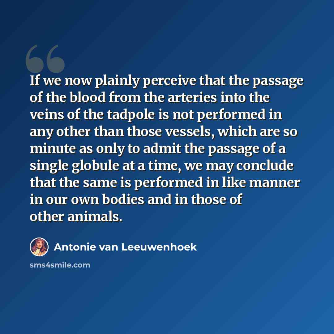 “If we now plainly perceive that the passage of the blood from the arteries into the veins of the tadpole is not performed in any other than those vessels, which are so minute as only to admit the passage of a single globule at a time, we may conclude that the same is performed in like manner in…” quote by Antonie van Leeuwenhoek