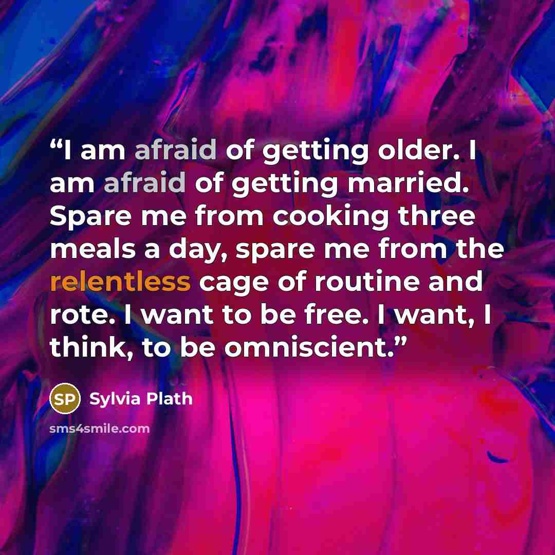“I am afraid of getting older. I am afraid of getting married. Spare me from cooking three meals a day, spare me from the relentless cage of routine and rote. I want to be free. I want, I think, to be omniscient.” quote by Sylvia Plath