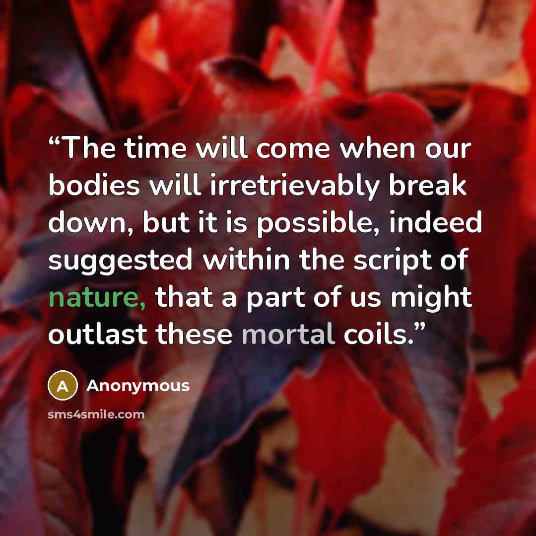 “The time will come when our bodies will irretrievably break down, but it is possible, indeed suggested within the script of nature, that a part of us might outlast these mortal coils.” quote by Anonymous