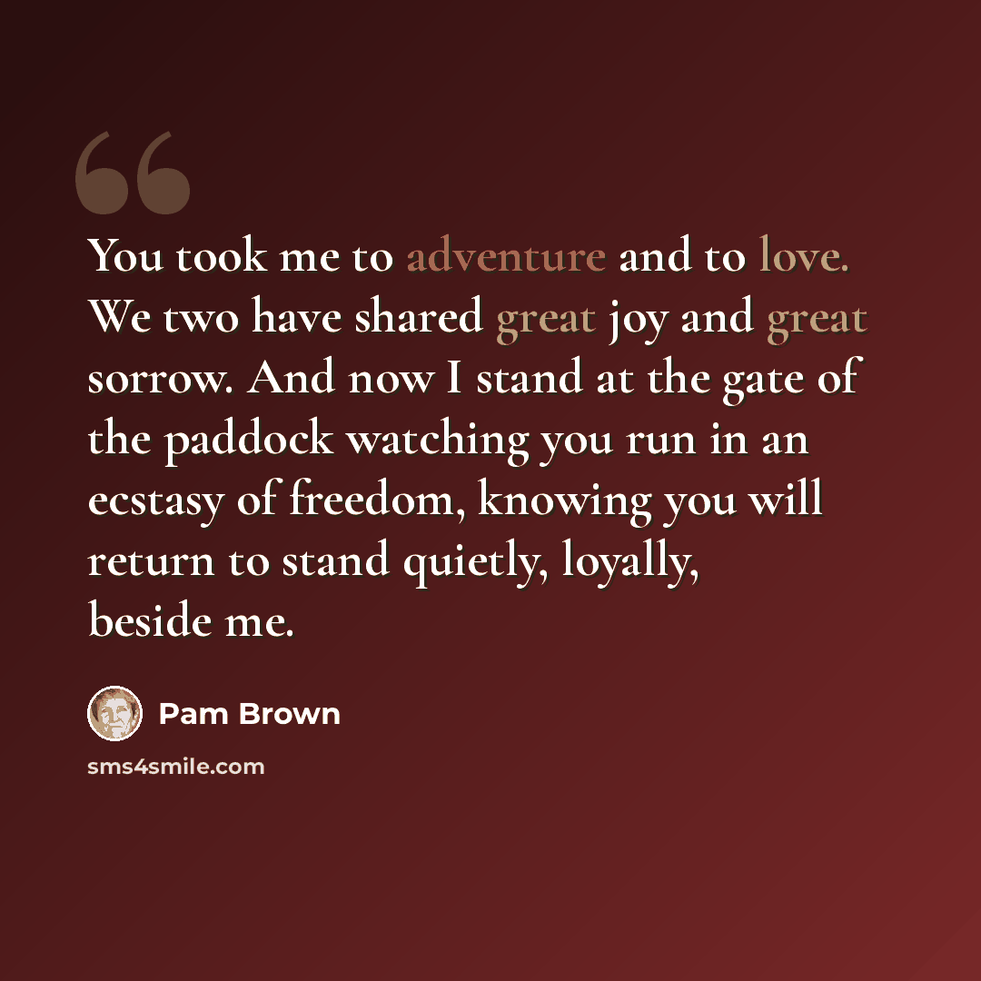 “You took me to adventure and to love. We two have shared great joy and great sorrow. And now I stand at the gate of the paddock watching you run in an ecstasy of freedom, knowing you will return to stand quietly, loyally, beside me.” quote by Pam Brown