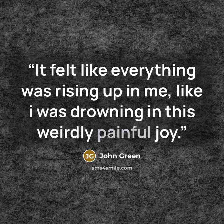 “It felt like everything was rising up in me, like i was drowning in this weirdly painful joy.” quote by John Green