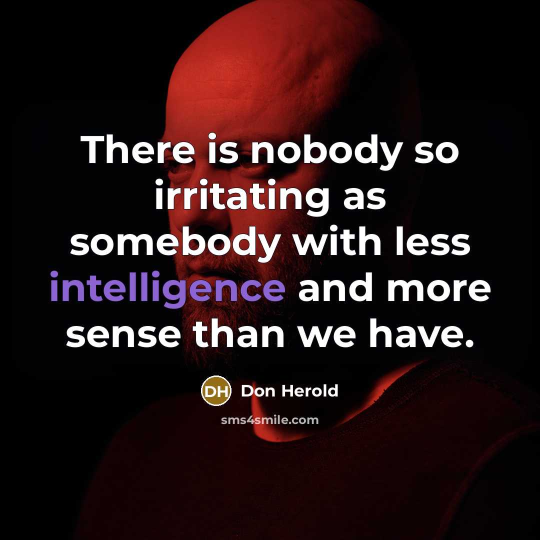 “There is nobody so irritating as somebody with less intelligence and more sense than we have.” quote by Don Herold
