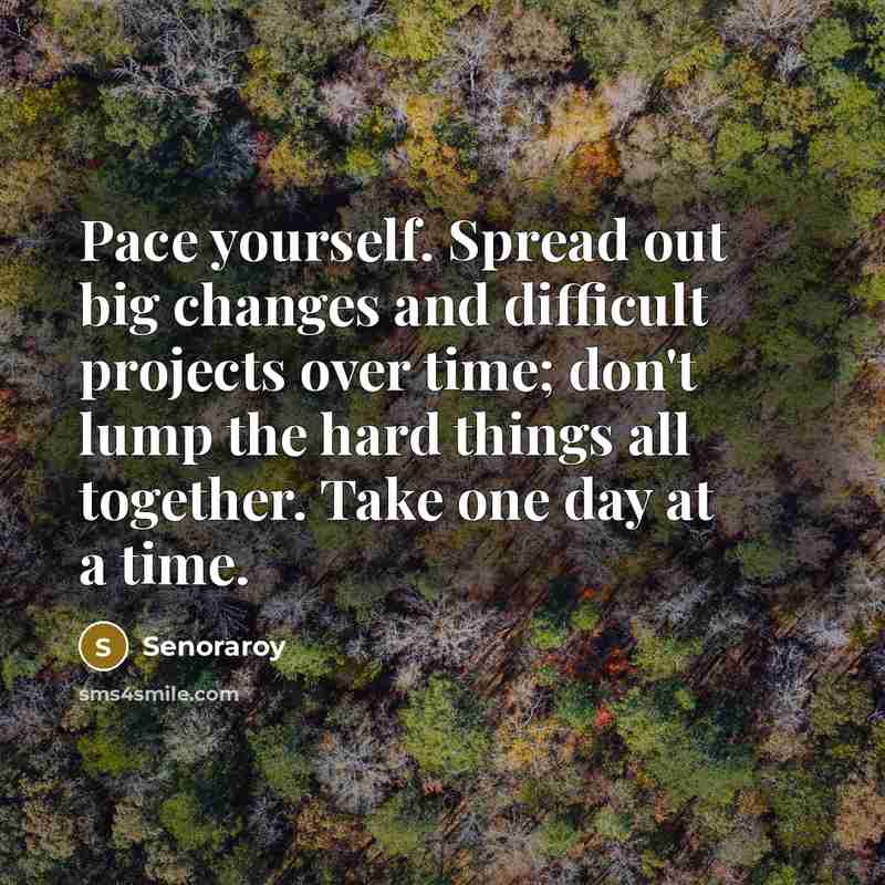 “Pace yourself. Spread out big changes and difficult projects over time; don't lump the hard things all together. Take one day at a time.” quote by Senoraroy