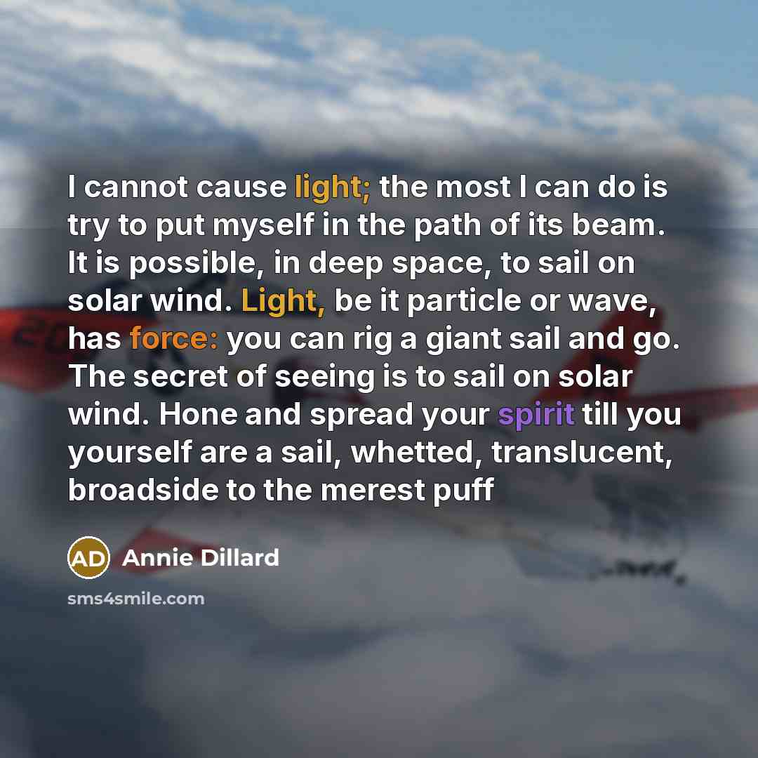 “I cannot cause light; the most I can do is try to put myself in the path of its beam. It is possible, in deep space, to sail on solar wind. Light, be it particle or wave, has force: you can rig a giant sail and go. The secret of seeing is to sail on solar wind. Hone and spread your spirit till you…” quote by Annie Dillard