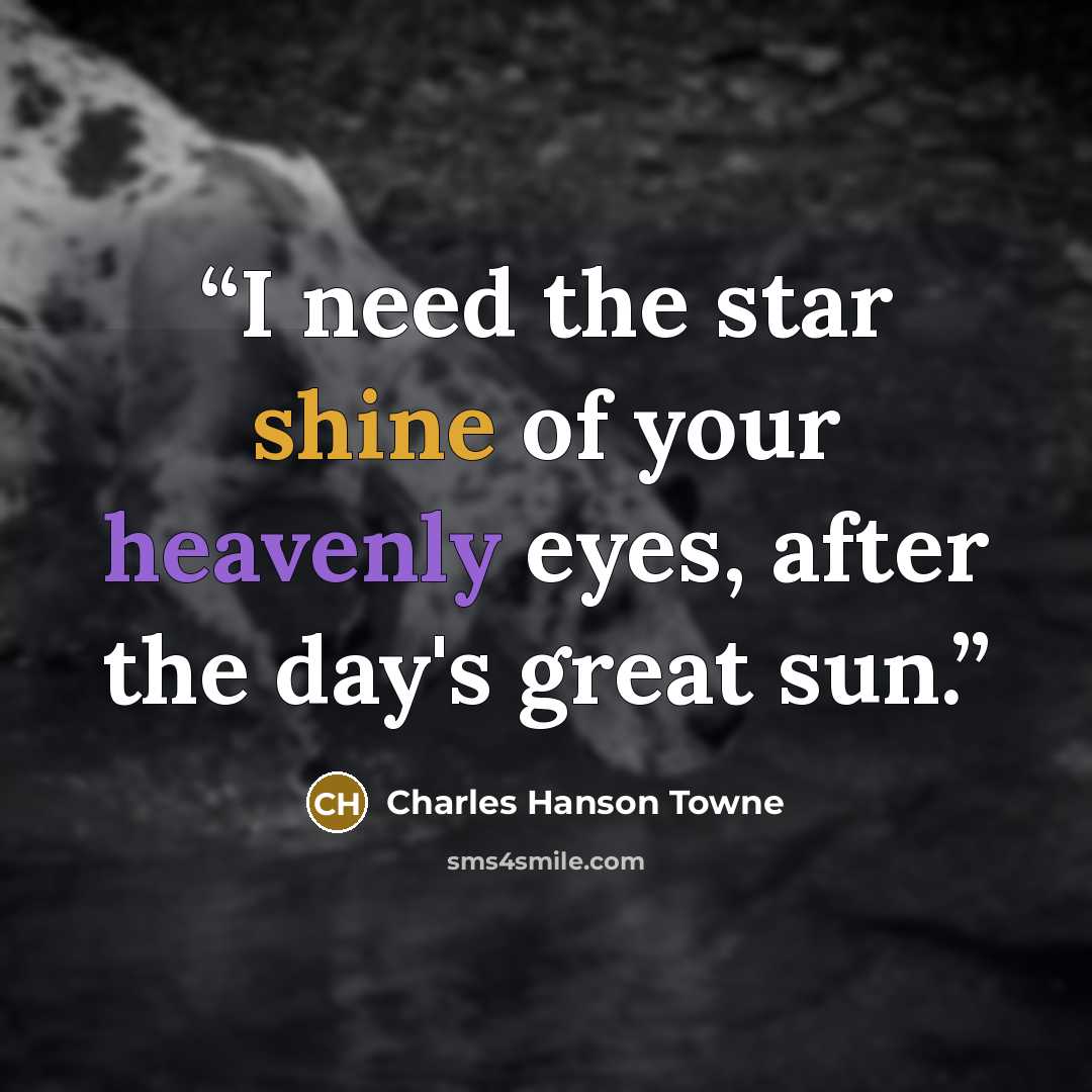 “I need the star shine of your heavenly eyes, after the day's great sun.” quote by Charles Hanson Towne