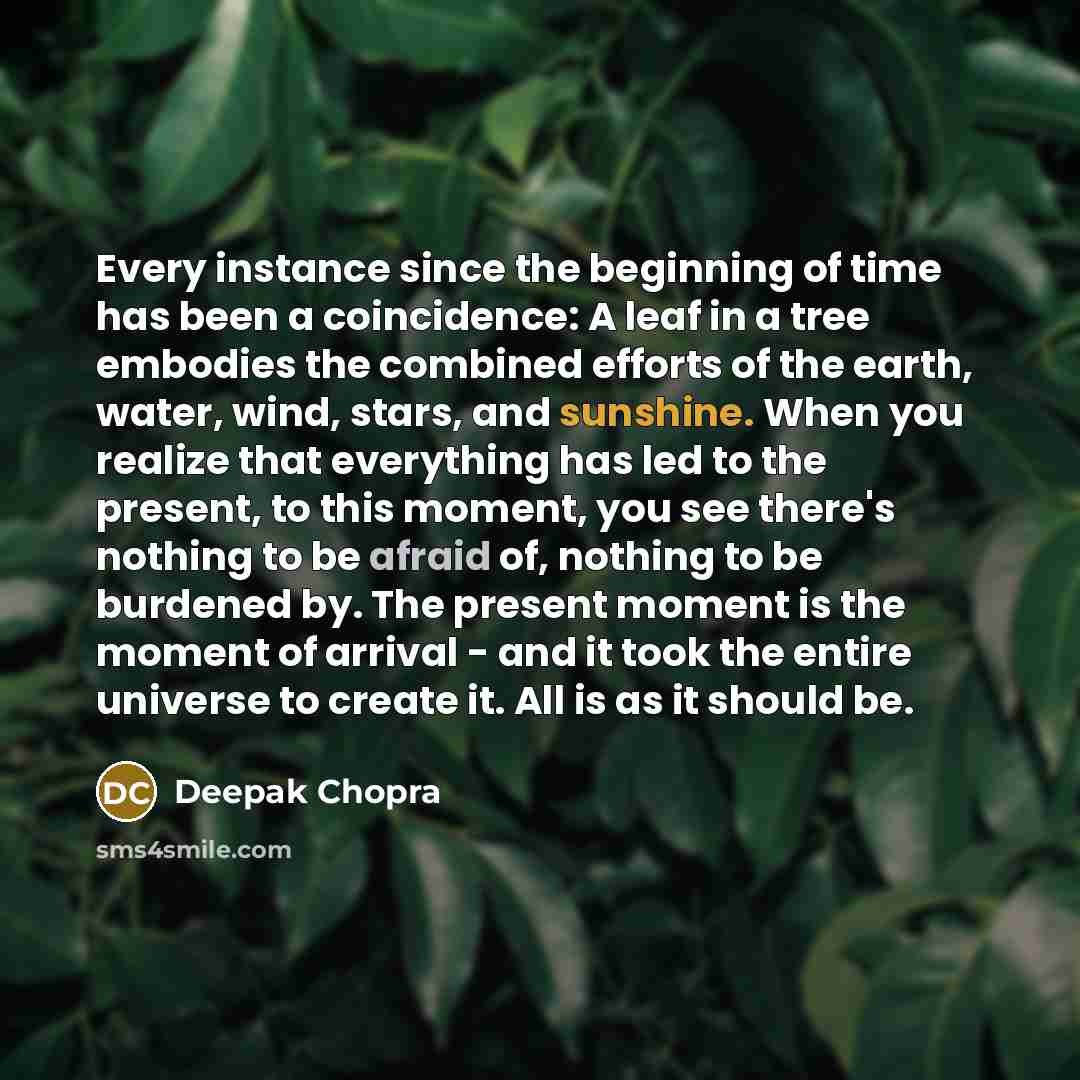 “Every instance since the beginning of time has been a coincidence: A leaf in a tree embodies the combined efforts of the earth, water, wind, stars, and sunshine. When you realize that everything has led to the present, to this moment, you see there's nothing to be afraid of, nothing to be burdened…” quote by Deepak Chopra