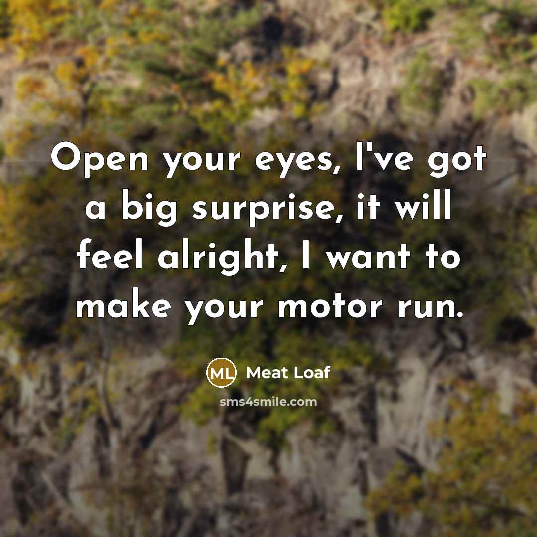 “Open your eyes, I've got a big surprise, it will feel alright, I want to make your motor run.” quote by Meat Loaf