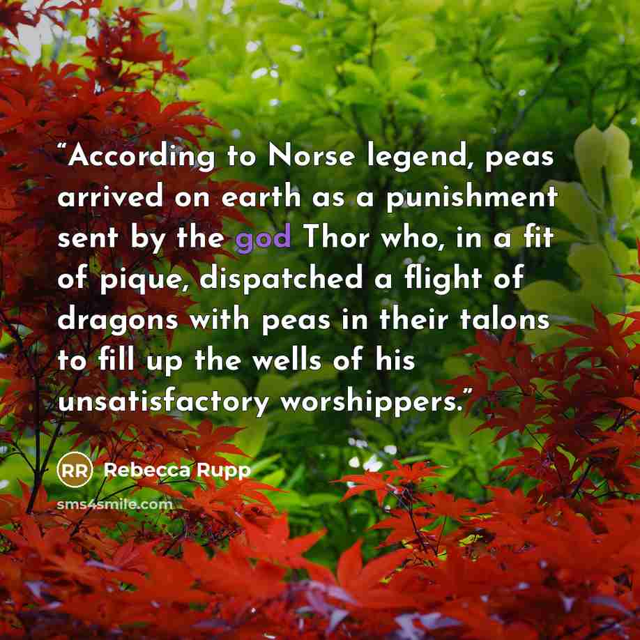 “According to Norse legend, peas arrived on earth as a punishment sent by the god Thor who, in a fit of pique, dispatched a flight of dragons with peas in their talons to fill up the wells of his unsatisfactory worshippers.” quote by Rebecca Rupp