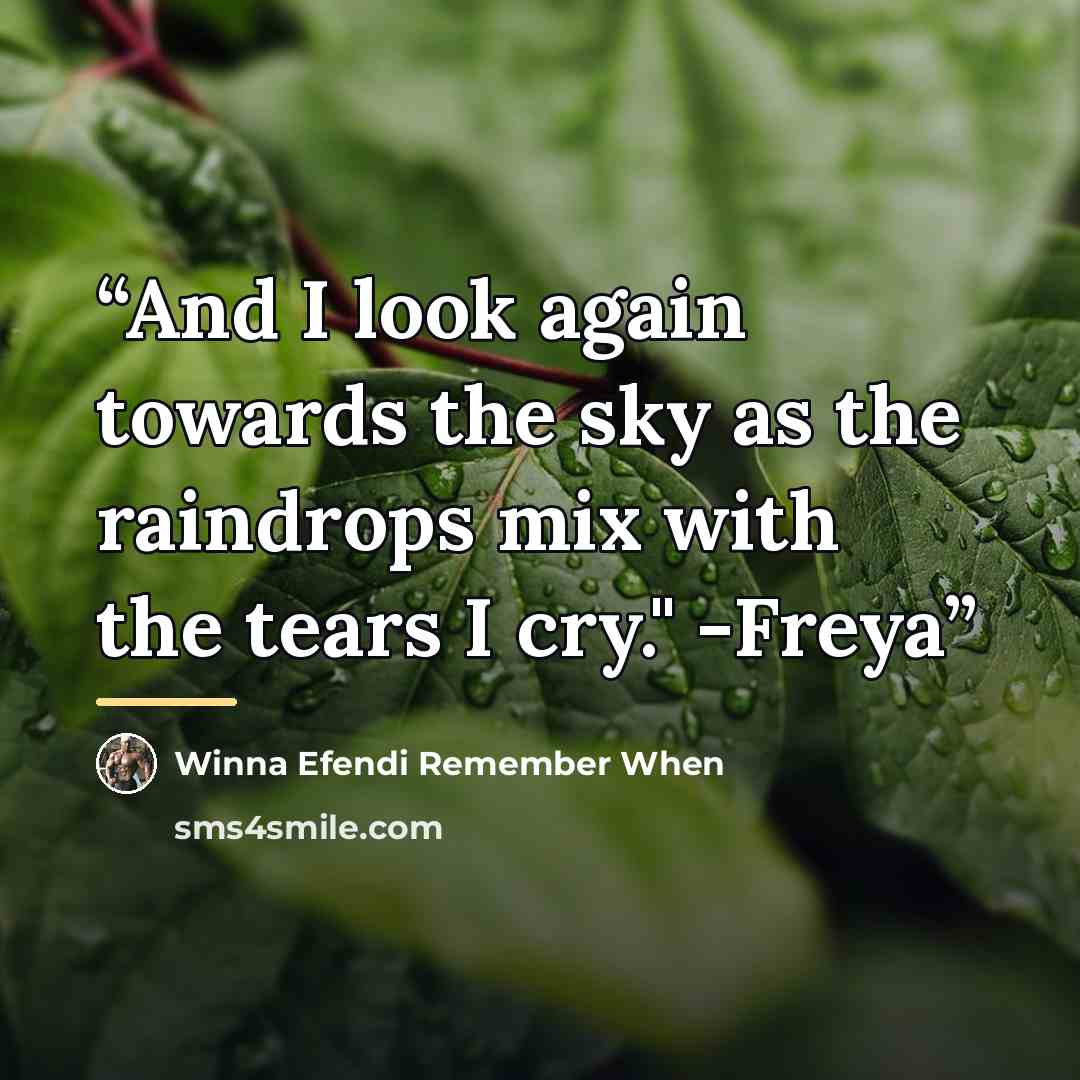 “And I look again towards the sky as the raindrops mix with the tears I cry." -Freya” quote by Anonymous