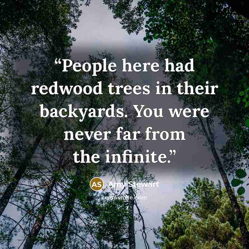 “People here had redwood trees in their backyards. You were never far from the infinite.” quote by Amy Stewart