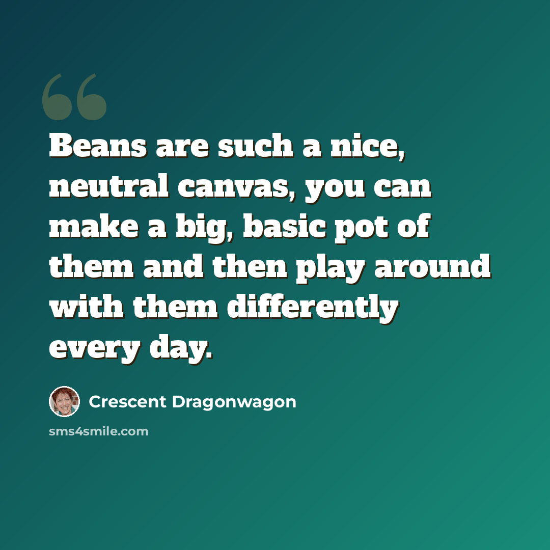 “Beans are such a nice, neutral canvas, you can make a big, basic pot of them and then play around with them differently every day.” quote by Crescent Dragonwagon