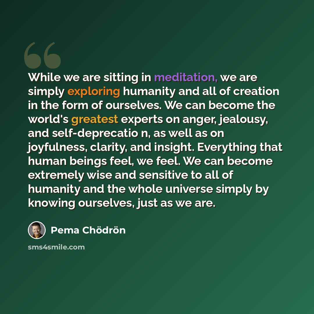 “While we are sitting in meditation, we are simply exploring humanity and all of creation in the form of ourselves. We can become the world's greatest experts on anger, jealousy, and self-deprecatio n, as well as on joyfulness, clarity, and insight. Everything that human beings feel, we feel. We…” quote by Pema Chodron