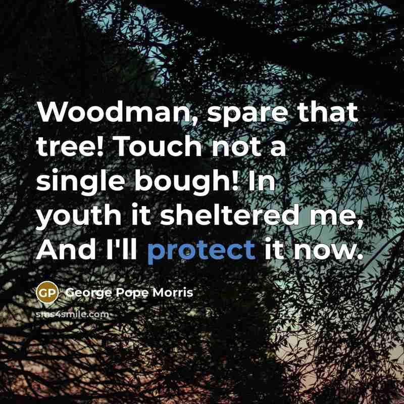 “Woodman, spare that tree! Touch not a single bough! In youth it sheltered me, And I'll protect it now.” quote by George Pope Morris