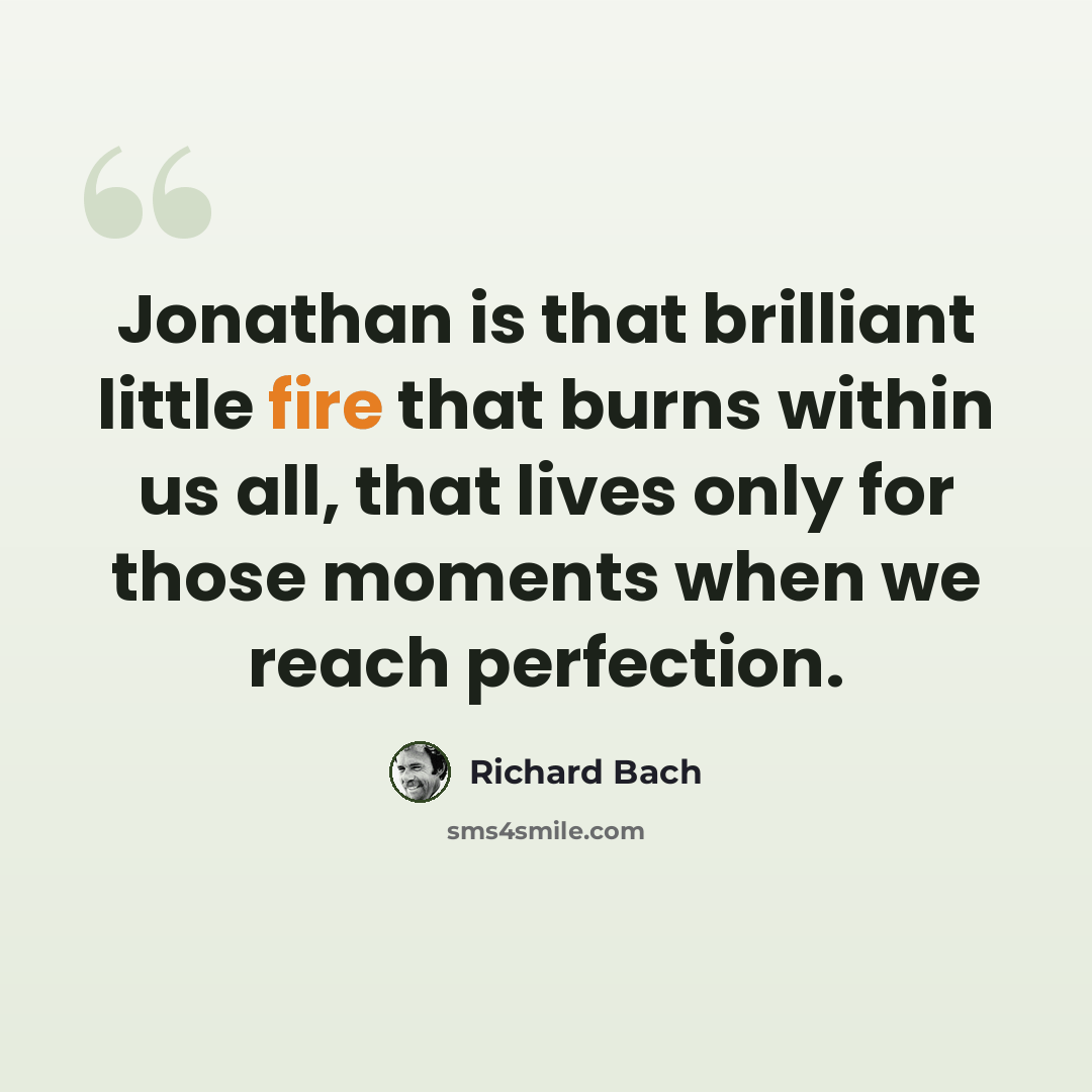 “Jonathan is that brilliant little fire that burns within us all, that lives only for those moments when we reach perfection.” quote by Richard Bach