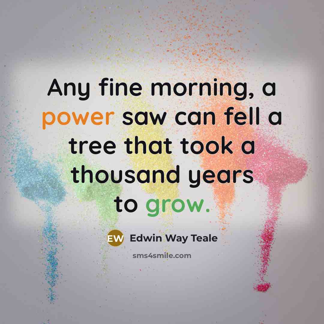 “Any fine morning, a power saw can fell a tree that took a thousand years to grow.” quote by Edwin Way Teale