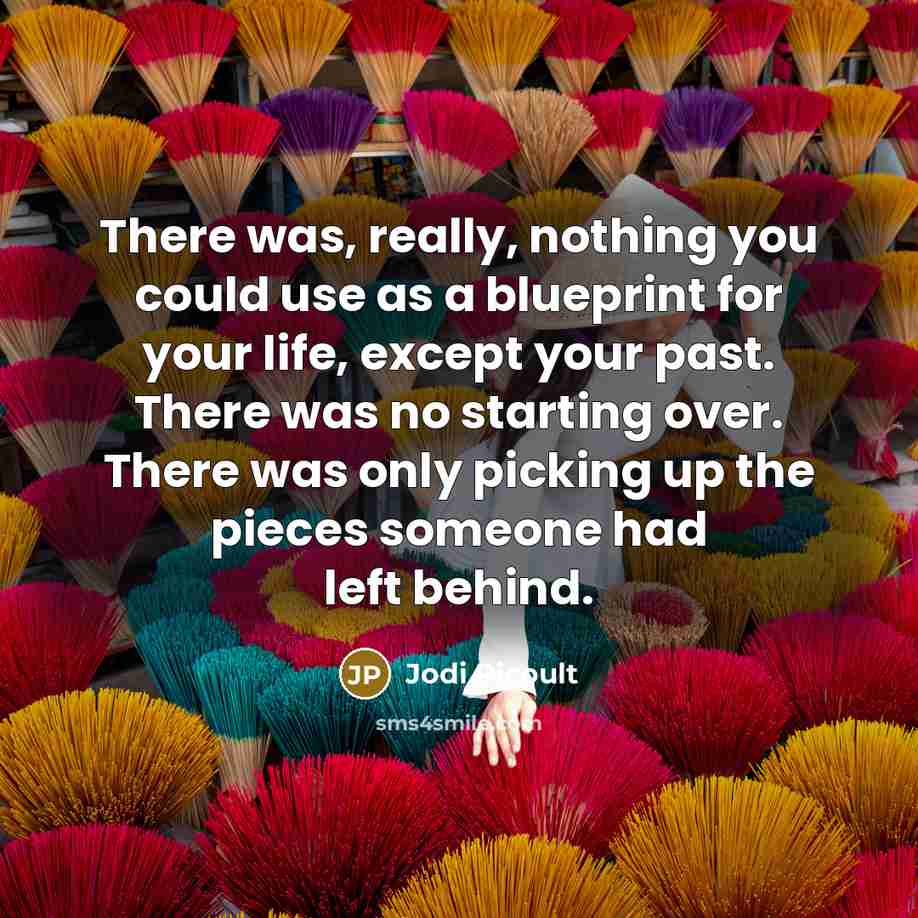 “There was, really, nothing you could use as a blueprint for your life, except your past. There was no starting over. There was only picking up the pieces someone had left behind.” quote by Jodi Picoult