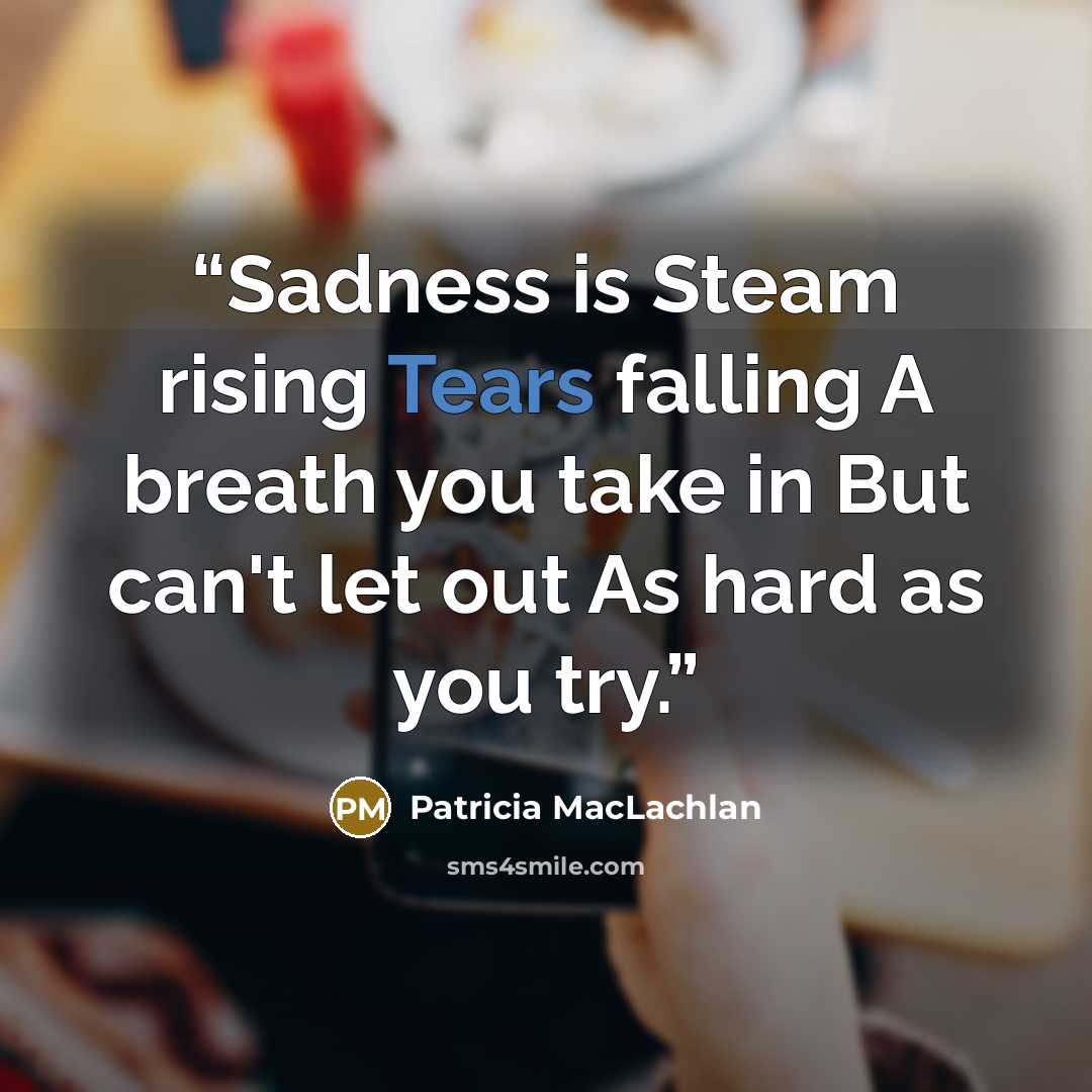 “Sadness is Steam rising Tears falling A breath you take in But can't let out As hard as you try.” quote by Patricia MacLachlan