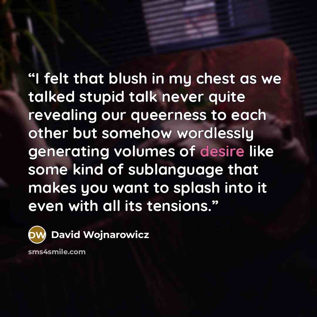 “I felt that blush in my chest as we talked stupid talk never quite revealing our queerness to each other but somehow wordlessly generating volumes of desire like some kind of sublanguage that makes you want to splash into it even with all its tensions.” quote by David Wojnarowicz