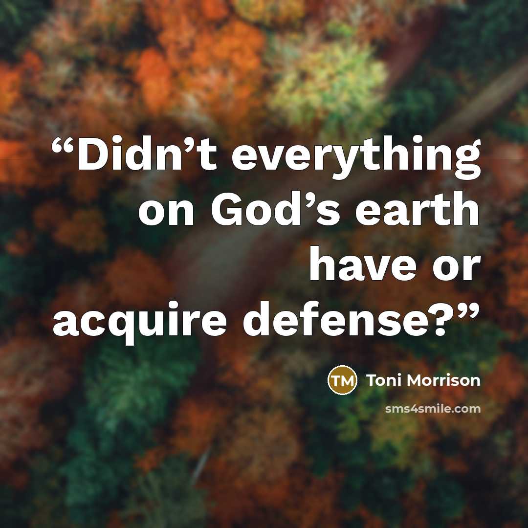 “Didn’t everything on God’s earth have or acquire defense?” quote by Toni Morrison