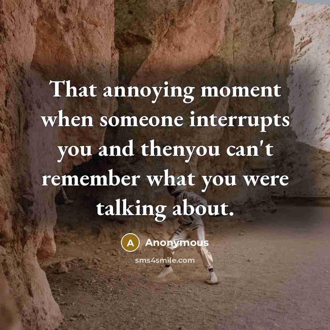 “That annoying moment when someone interrupts you and thenyou can't remember what you were talking about.” quote by Anonymous