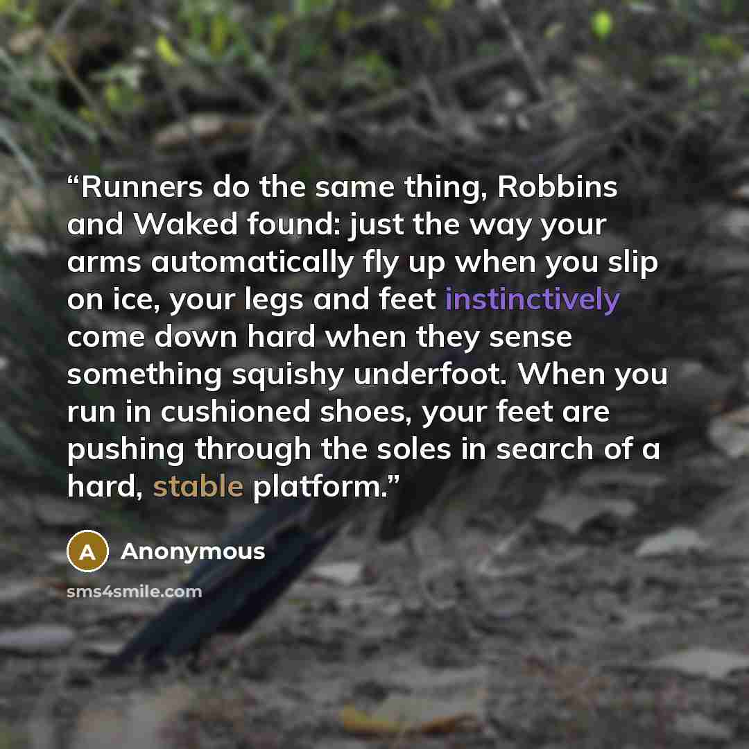 “Runners do the same thing, Robbins and Waked found: just the way your arms automatically fly up when you slip on ice, your legs and feet instinctively come down hard when they sense something squishy underfoot. When you run in cushioned shoes, your feet are pushing through the soles in search of a…” quote by Anonymous