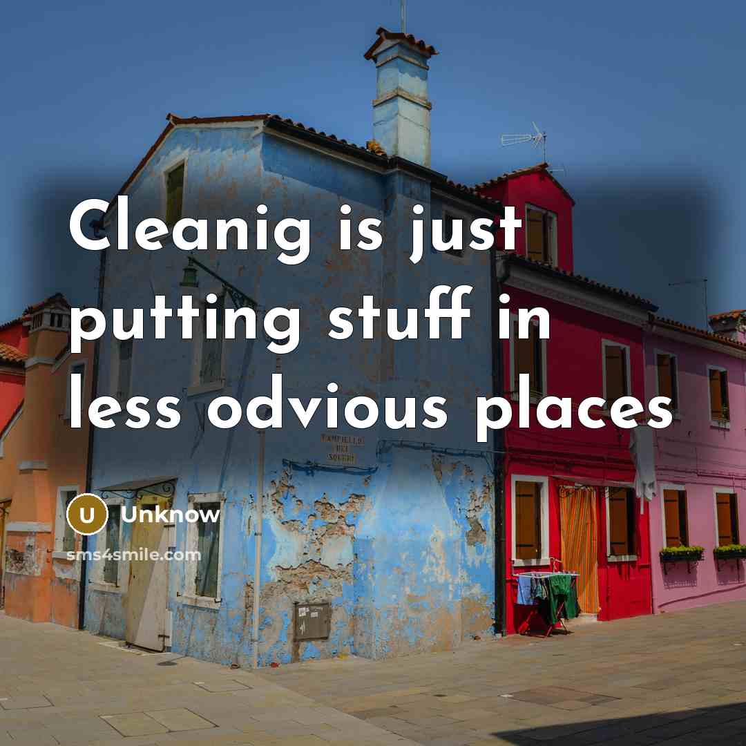 “Cleanig is just putting stuff in less odvious places” quote by Unknow
