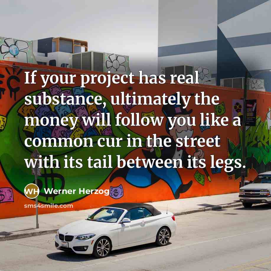 “If your project has real substance, ultimately the money will follow you like a common cur in the street with its tail between its legs.” quote by Werner Herzog