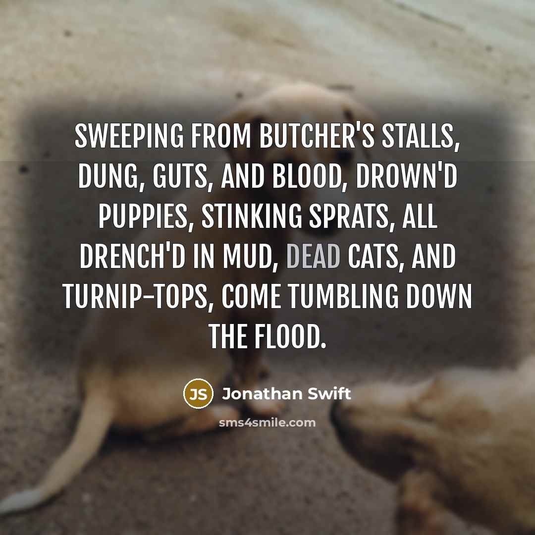 “Sweeping from butcher's stalls, dung, guts, and blood, Drown'd puppies, stinking sprats, all drench'd in mud, Dead cats, and turnip-tops, come tumbling down the flood.” quote by Jonathan Swift