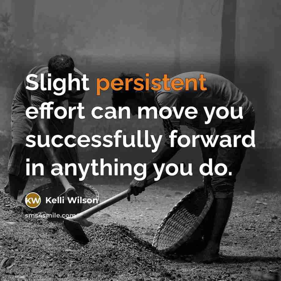 “Slight persistent effort can move you successfully forward in anything you do.” quote by Kelli Wilson