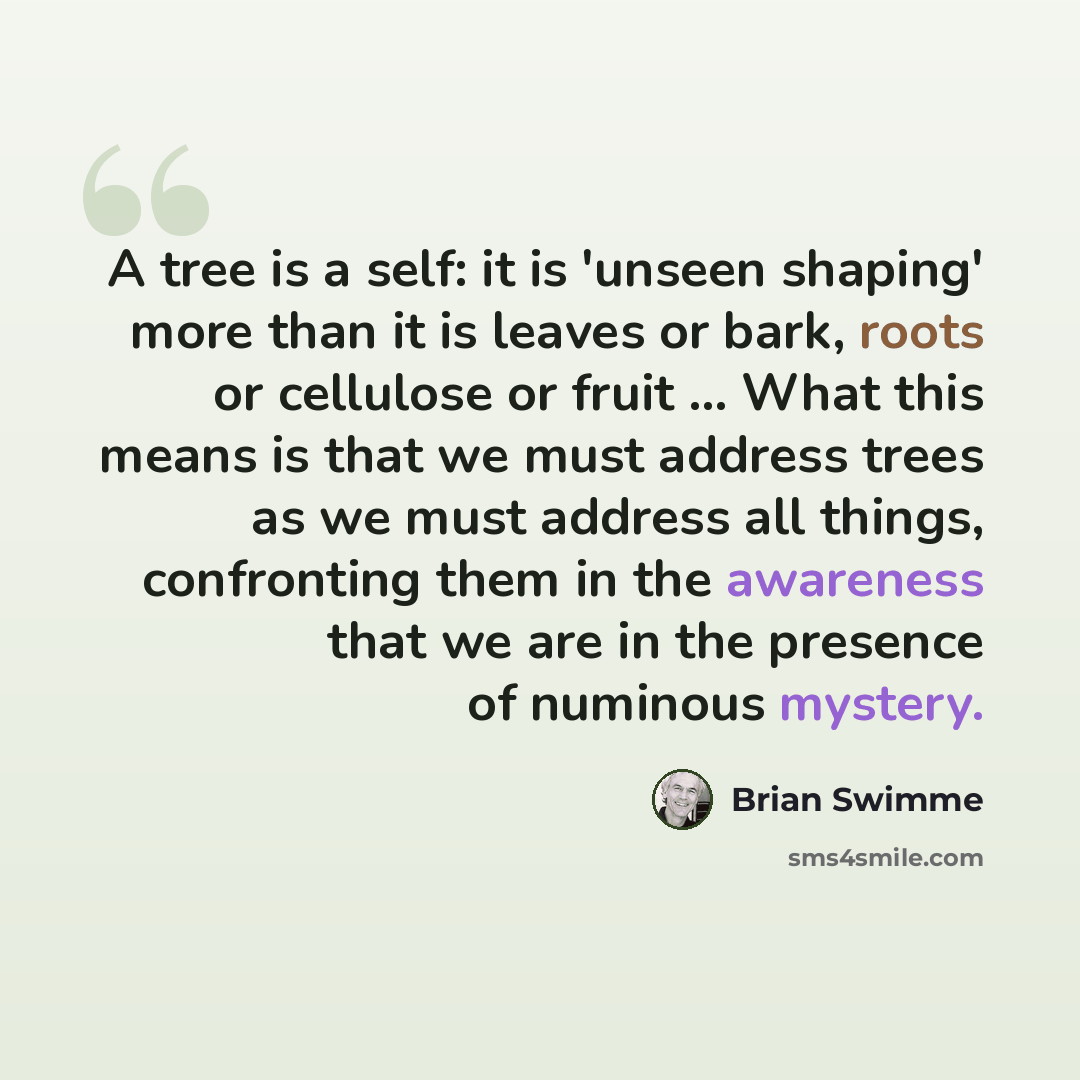 “A tree is a self: it is 'unseen shaping' more than it is leaves or bark, roots or cellulose or fruit ... What this means is that we must address trees as we must address all things, confronting them in the awareness that we are in the presence of numinous mystery.” quote by Brian Swimme