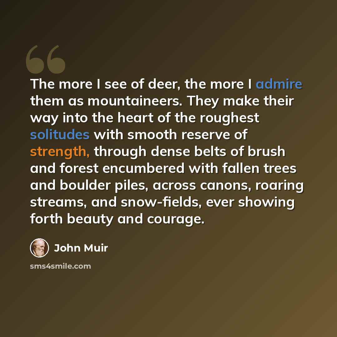 “The more I see of deer, the more I admire them as mountaineers. They make their way into the heart of the roughest solitudes with smooth reserve of strength, through dense belts of brush and forest encumbered with fallen trees and boulder piles, across canons, roaring streams, and snow-fields…” quote by John Muir