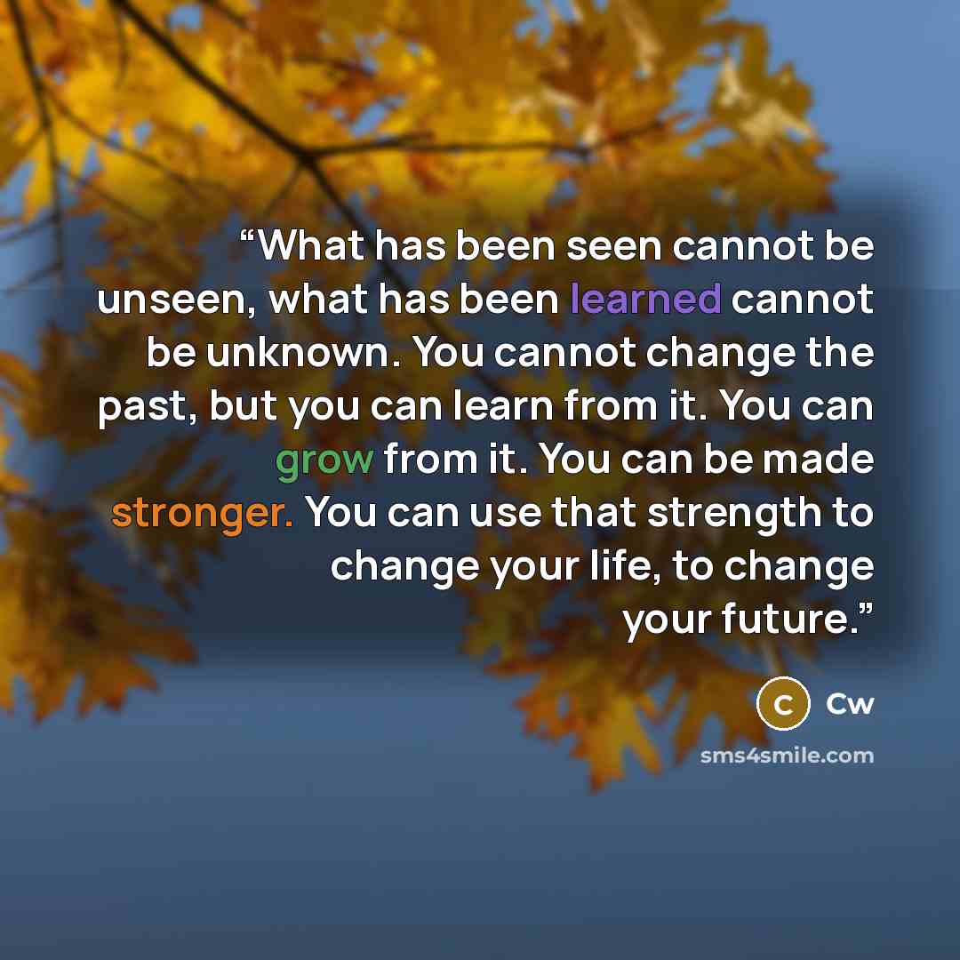 “What has been seen cannot be unseen, what has been learned cannot be unknown. You cannot change the past, but you can learn from it. You can grow from it. You can be made stronger. You can use that strength to change your life, to change your future.” quote by CW