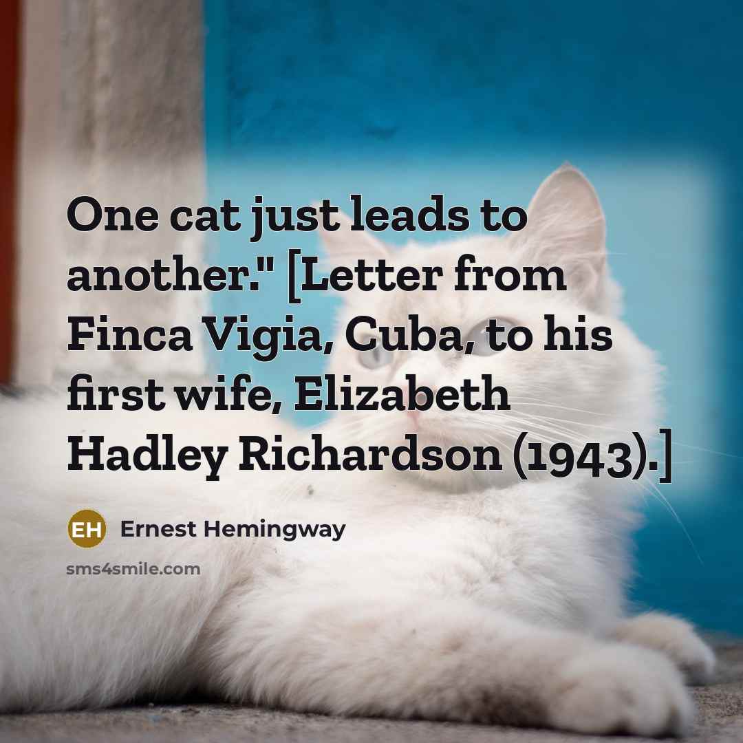“One cat just leads to another." [Letter from Finca Vigia, Cuba, to his first wife, Elizabeth Hadley Richardson (1943).]” quote by Ernest Hemingway