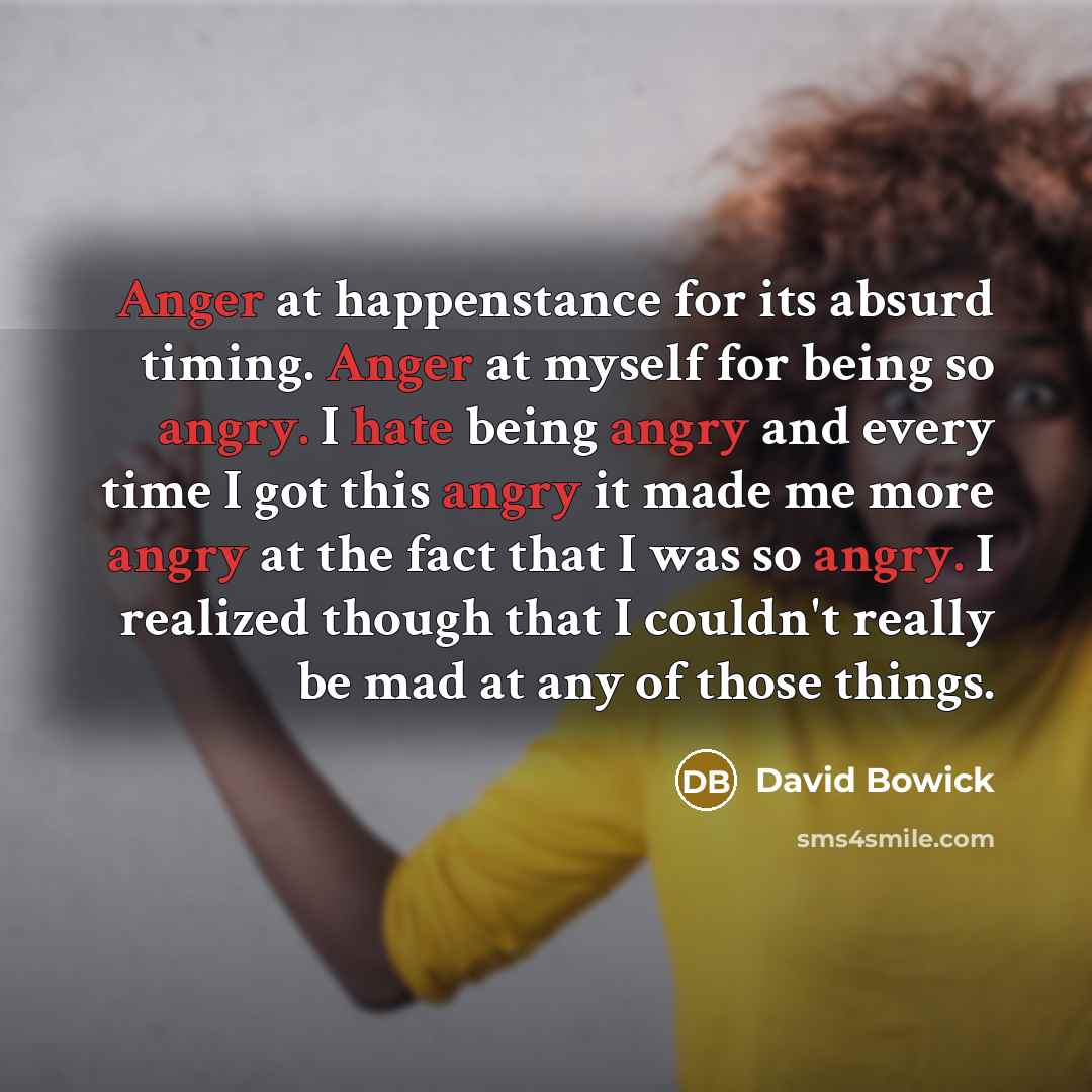 “Anger at happenstance for its absurd timing. Anger at myself for being so angry. I hate being angry and every time I got this angry it made me more angry at the fact that I was so angry. I realized though that I couldn't really be mad at any of those things.” quote by David Bowick