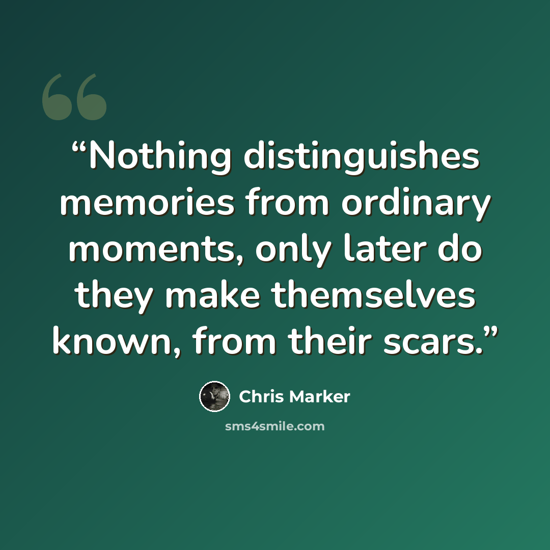 “Nothing distinguishes memories from ordinary moments, only later do they make themselves known, from their scars.” quote by Chris Marker