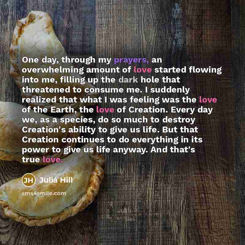 “One day, through my prayers, an overwhelming amount of love started flowing into me, filling up the dark hole that threatened to consume me. I suddenly realized that what I was feeling was the love of the Earth, the love of Creation. Every day we, as a species, do so much to destroy Creation's…” quote by Julia Hill