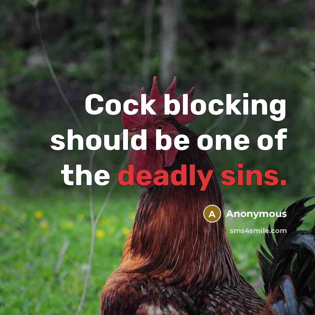 “Cock blocking should be one of the deadly sins.” quote by Anonymous