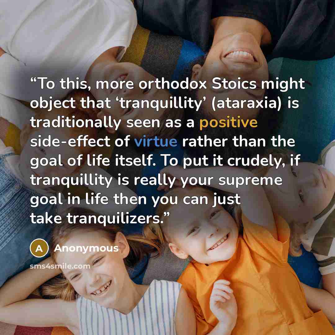 “To this, more orthodox Stoics might object that ‘tranquillity’ (ataraxia) is traditionally seen as a positive side-effect of virtue rather than the goal of life itself. To put it crudely, if tranquillity is really your supreme goal in life then you can just take tranquilizers.” quote by Anonymous