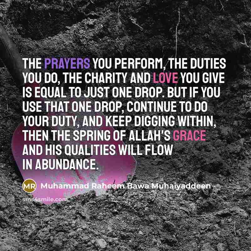 “The prayers you perform, the duties you do, the charity and love you give is equal to just one drop. But if you use that one drop, continue to do your duty, and keep digging within, then the spring of Allah's grace and His qualities will flow in abundance.” quote by Muhammad Raheem Bawa Muhaiyaddeen