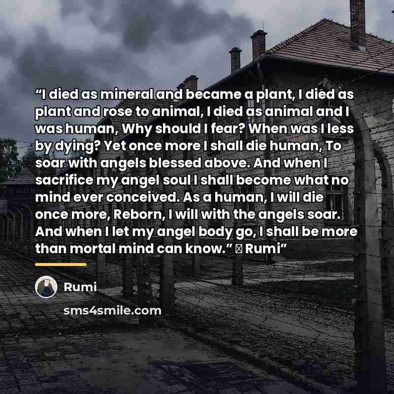 “I died as mineral and became a plant, I died as plant and rose to animal, I died as animal and I was human, Why should I fear? When was I less by dying? Yet once more I shall die human, To soar with angels blessed above. And when I sacrifice my angel soul I shall become what no mind ever…” quote by Rumi