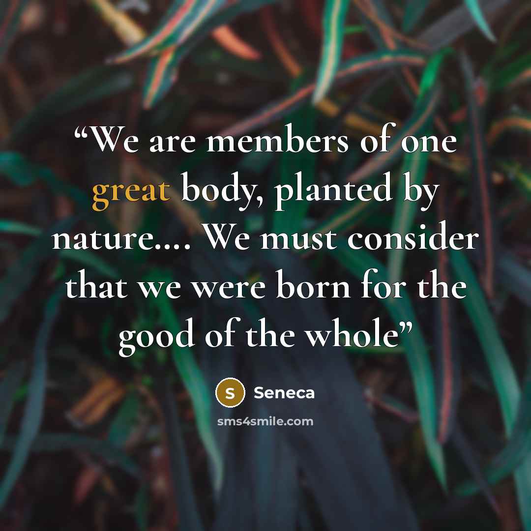 “We are members of one great body, planted by nature…. We must consider that we were born for the good of the whole” quote by Seneca