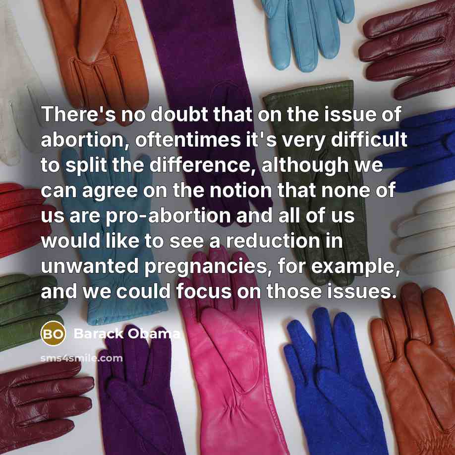 “There's no doubt that on the issue of abortion, oftentimes it's very difficult to split the difference, although we can agree on the notion that none of us are pro-abortion and all of us would like to see a reduction in unwanted pregnancies, for example, and we could focus on those issues.” quote by Barack Obama