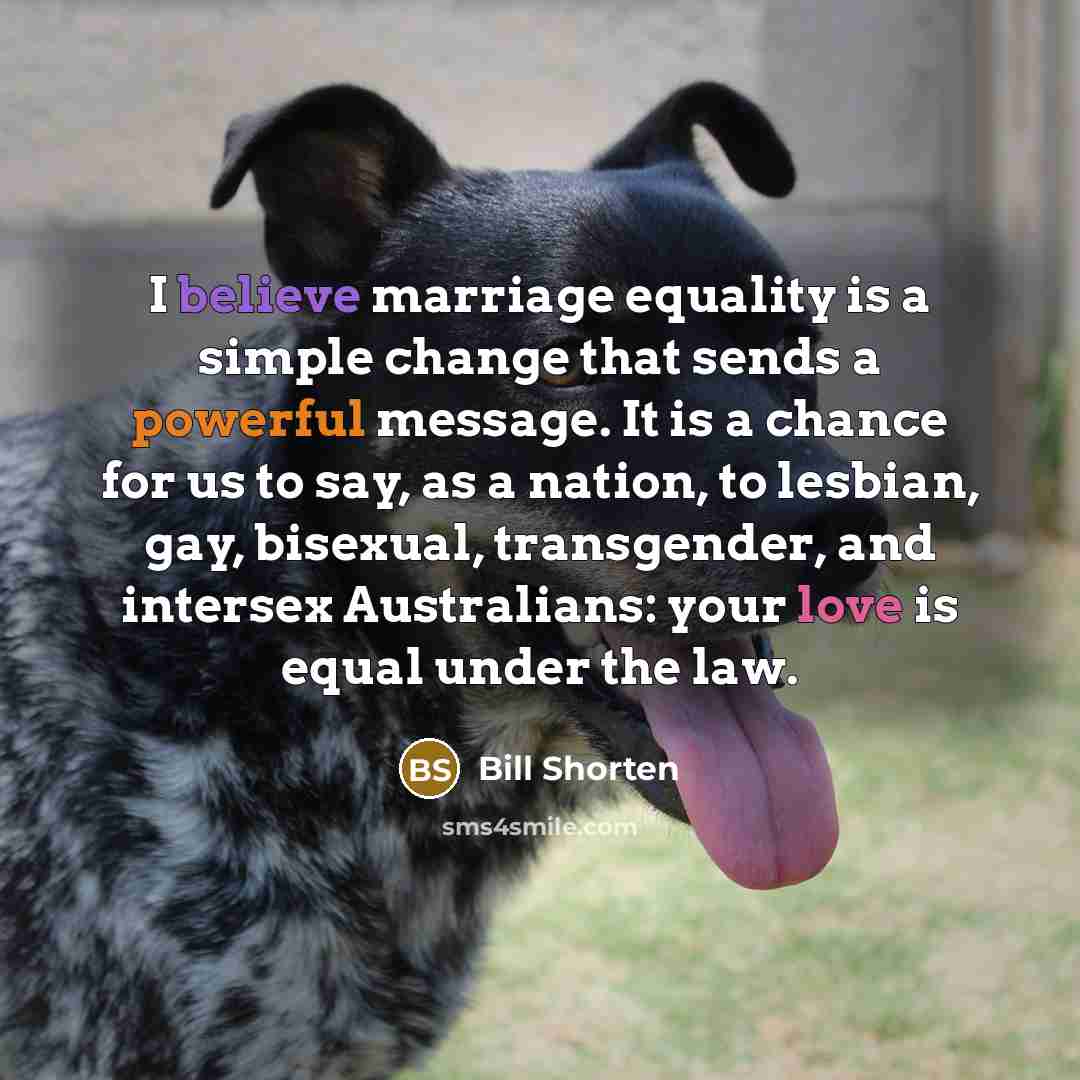 “I believe marriage equality is a simple change that sends a powerful message. It is a chance for us to say, as a nation, to lesbian, gay, bisexual, transgender, and intersex Australians: your love is equal under the law.” quote by Bill Shorten
