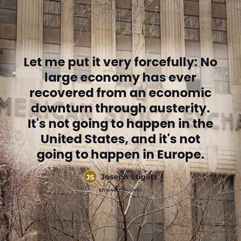 “Let me put it very forcefully: No large economy has ever recovered from an economic downturn through austerity. It's not going to happen in the United States, and it's not going to happen in Europe.” quote by Joseph Stiglitz