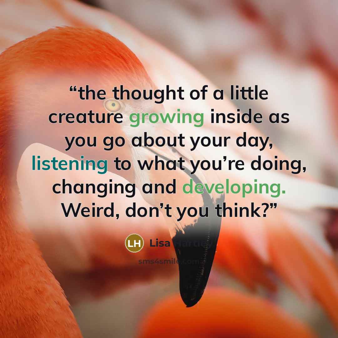 “the thought of a little creature growing inside as you go about your day, listening to what you’re doing, changing and developing. Weird, don’t you think?” quote by Lisa Hartley