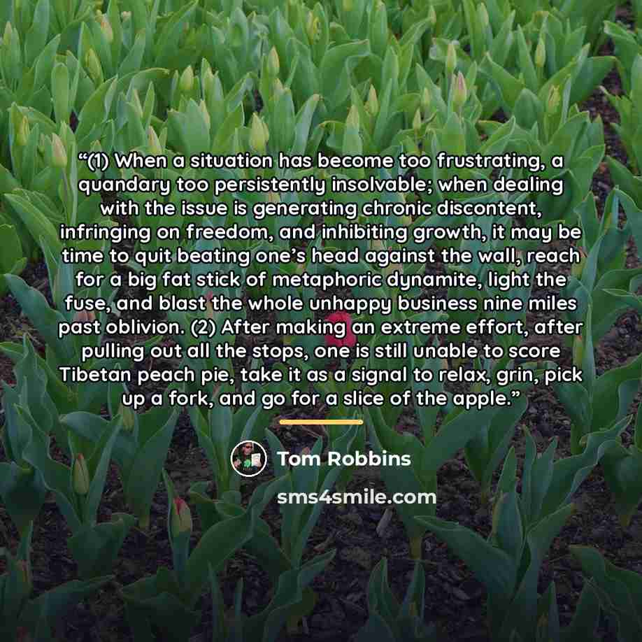 “(1) When a situation has become too frustrating, a quandary too persistently insolvable; when dealing with the issue is generating chronic discontent, infringing on freedom, and inhibiting growth, it may be time to quit beating one’s head against the wall, reach for a big fat stick of metaphoric…” quote by Tom Robbins